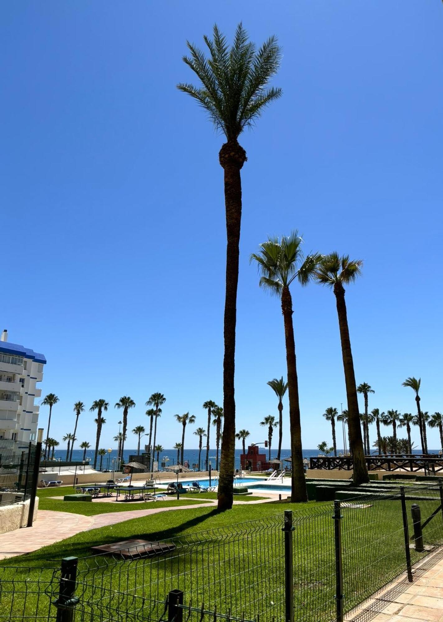 Aloha Playa Vistas Al Mar Lejlighed Benalmádena Eksteriør billede